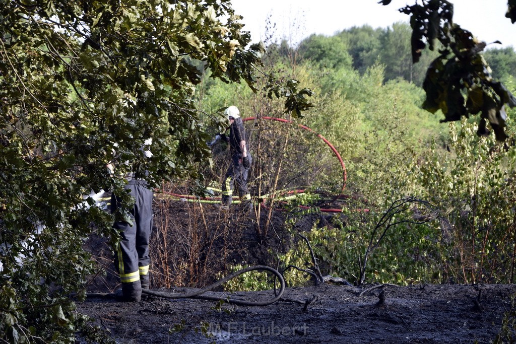 Waldbrand Koeln Hoehenhaus Hoehenfelder Mauspfad P073.JPG - Miklos Laubert